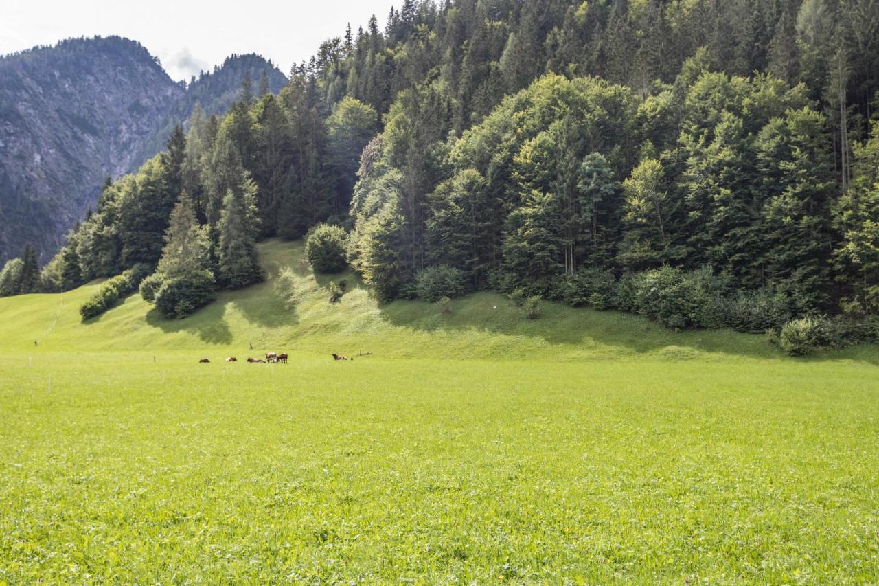 Ferienwohnung Weissbacher Санкт-Мартин-бай-Лофер Экстерьер фото